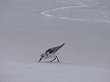 DSC02093