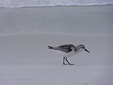 DSC02097