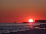 DSC02203