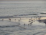 DSC02248