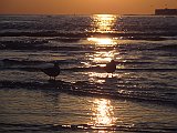 DSC02253