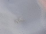 DSC02266