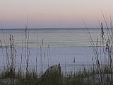 DSC02290