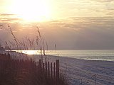 DSC02320