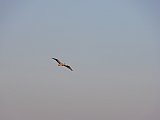 DSC02348