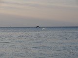 DSC02351