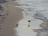 DSC02353