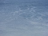 DSC02366