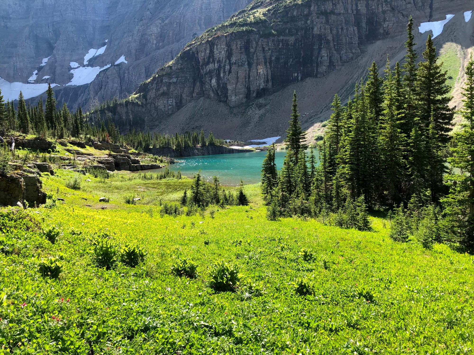 IMG 7657