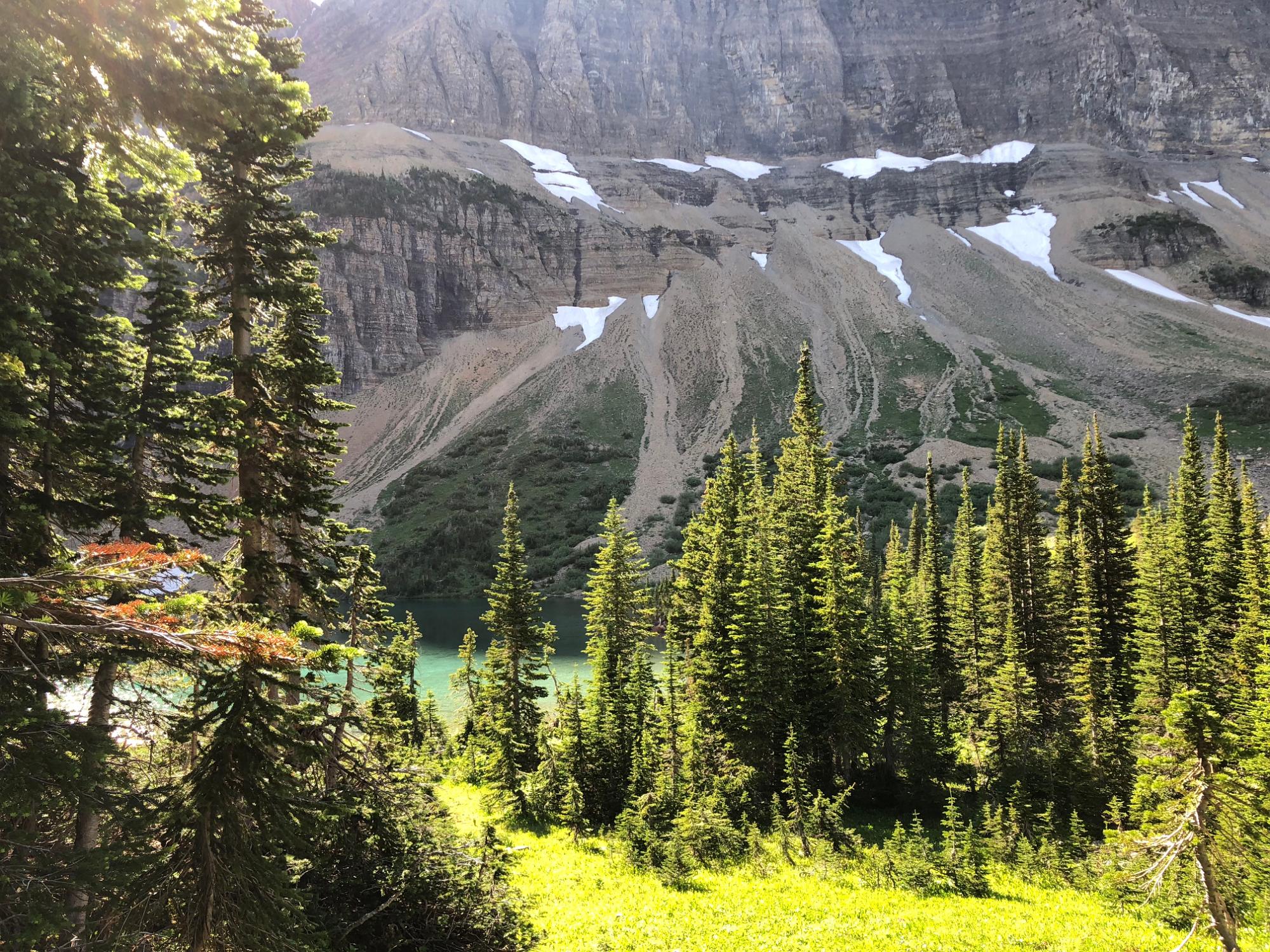 IMG 7658