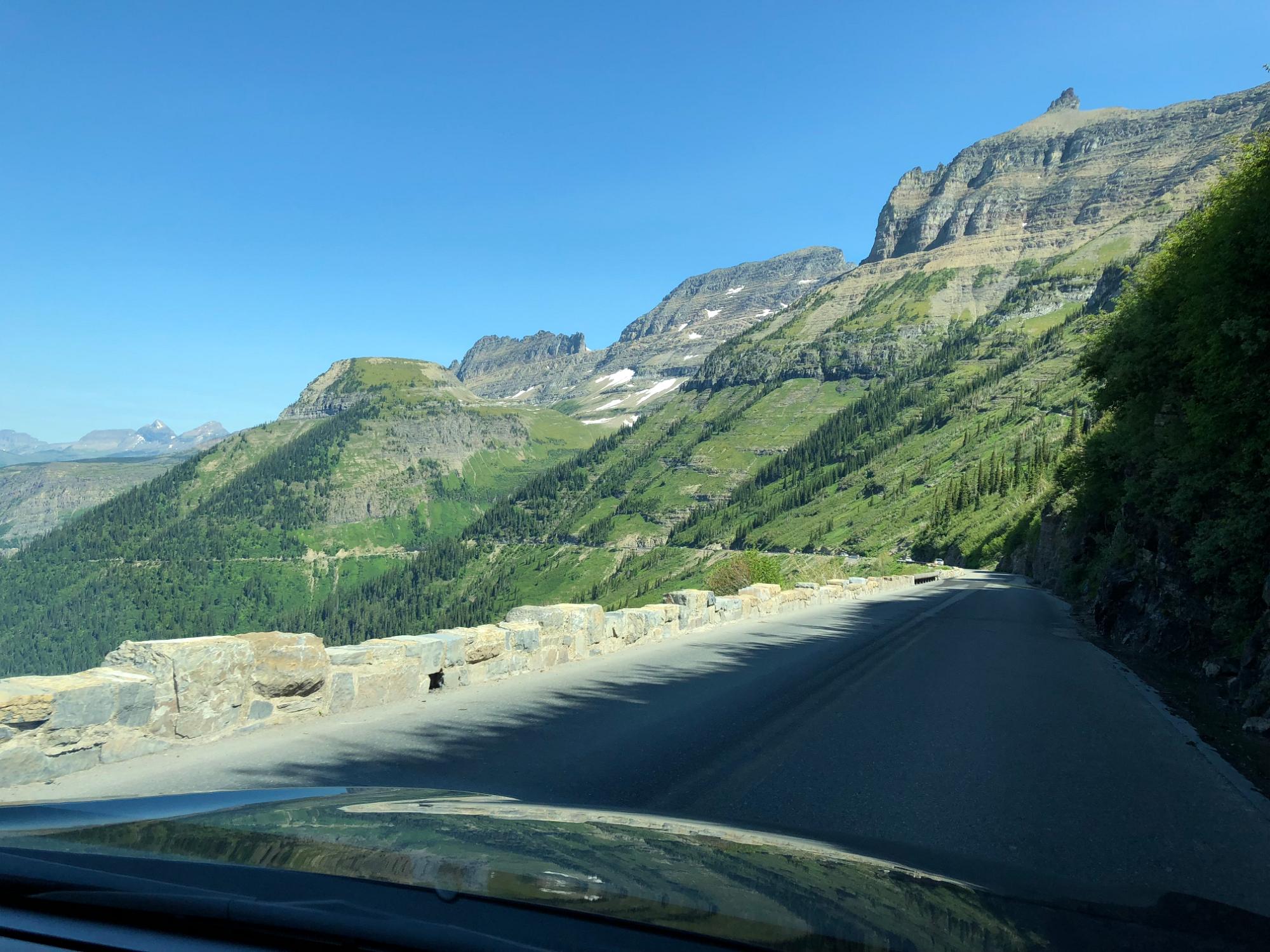 IMG 7706