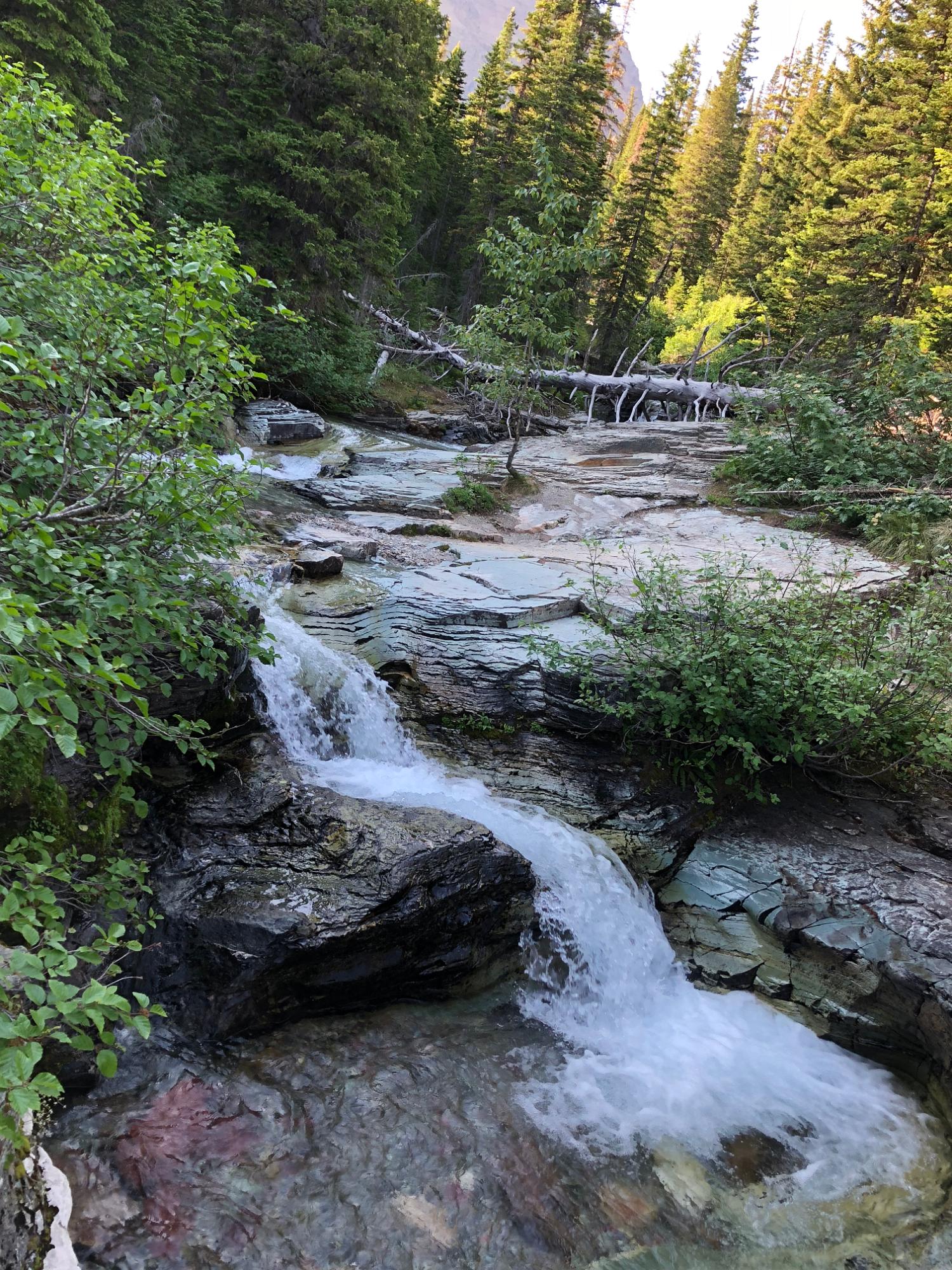 IMG 7767