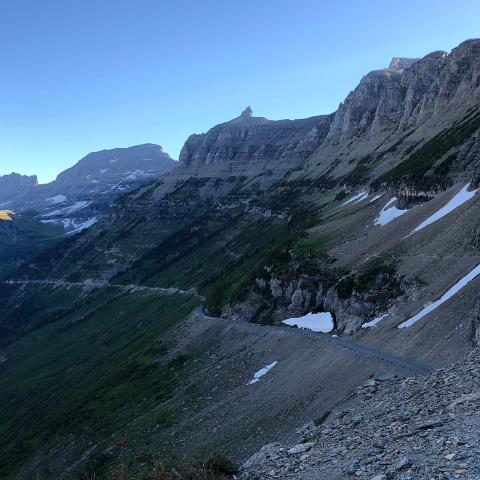 IMG 7371