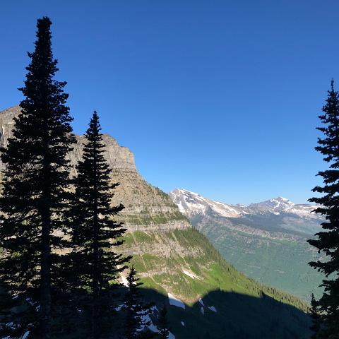 IMG 7387