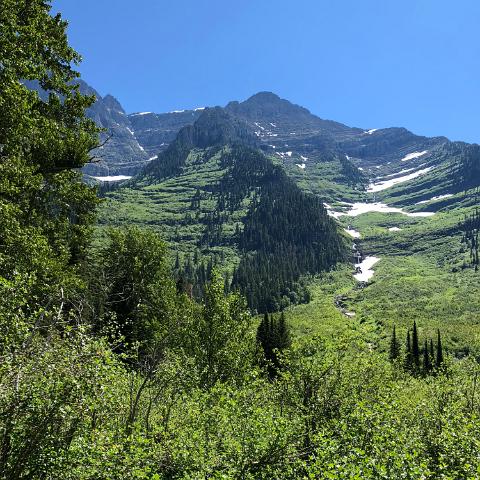 IMG 7400