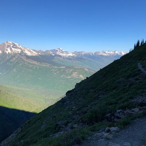 IMG 7450