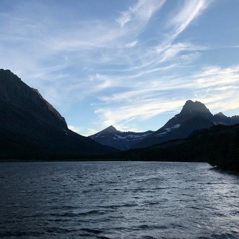 IMG 7554