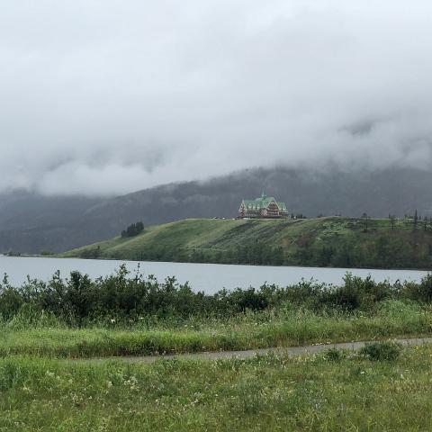 IMG 7585