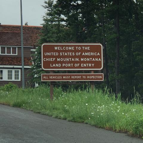 IMG 7600