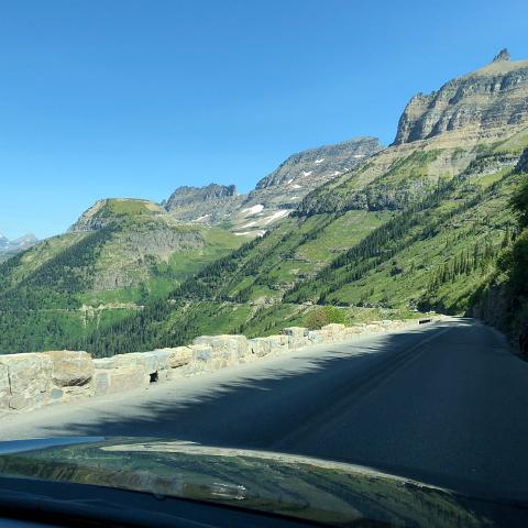 IMG 7706