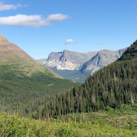 IMG 7757