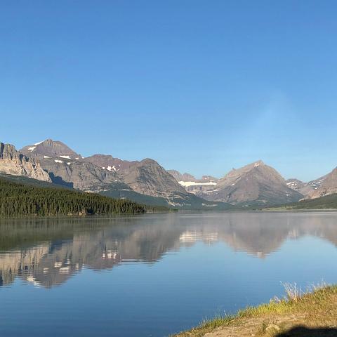 IMG 7774