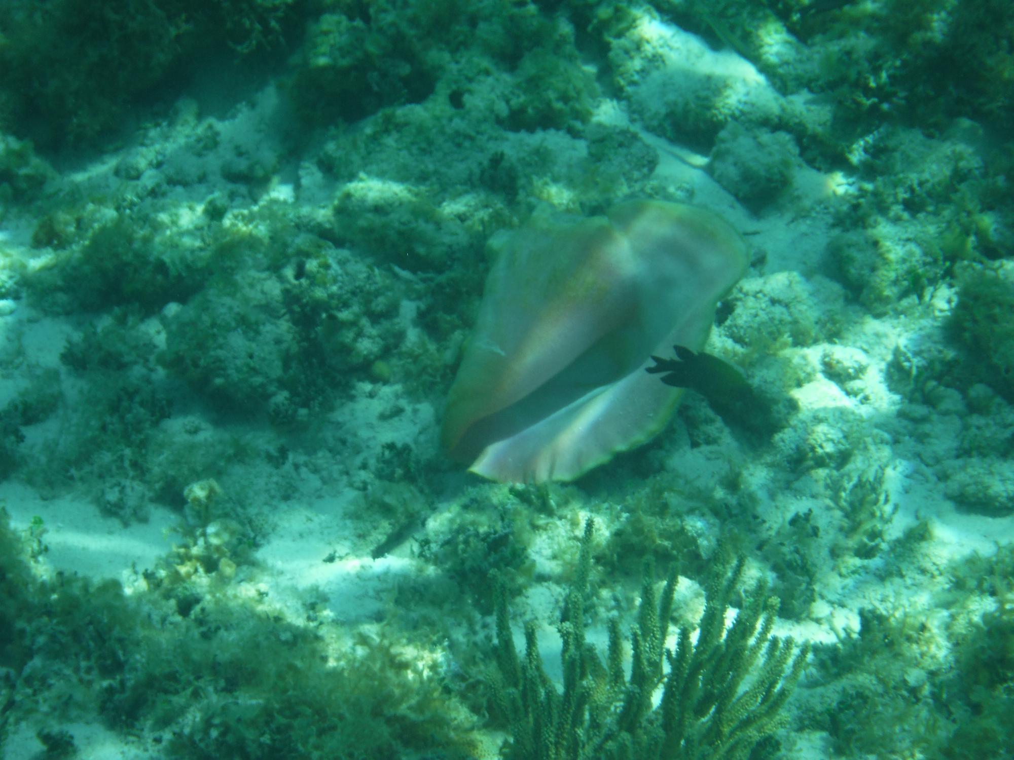 DSCF1678