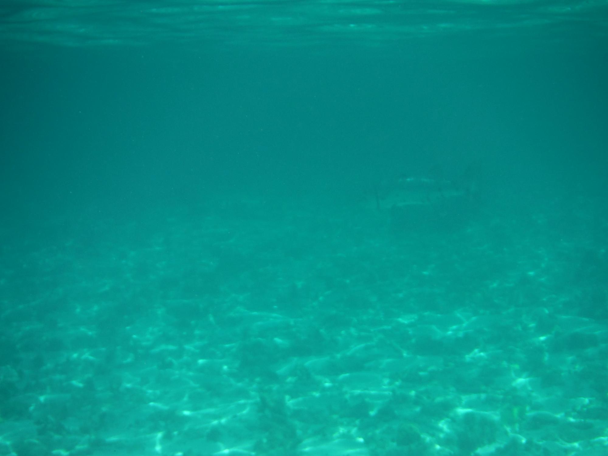 DSCF1682
