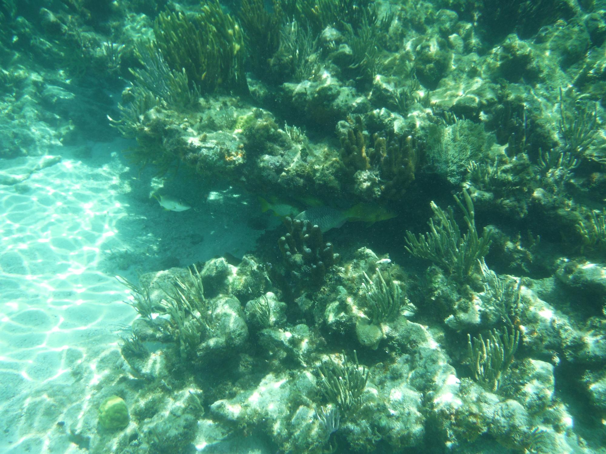 DSCF1722