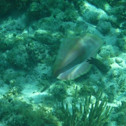 DSCF1678