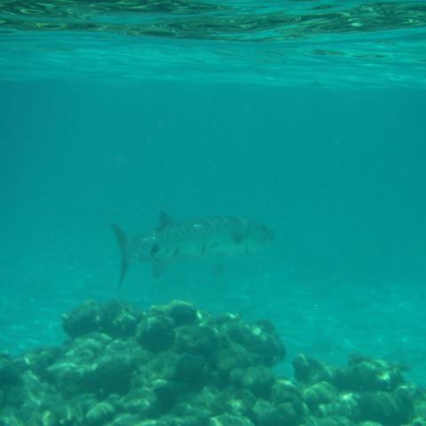 DSCF1688