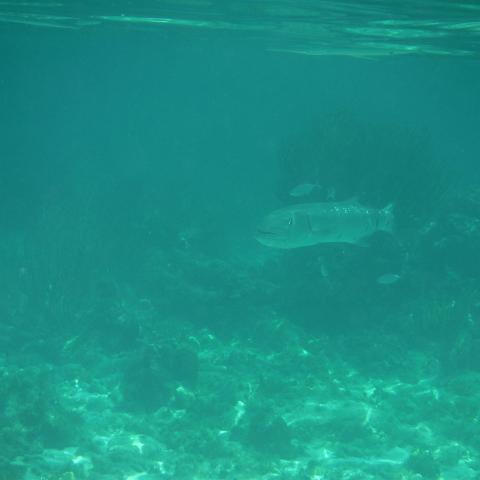 DSCF1690