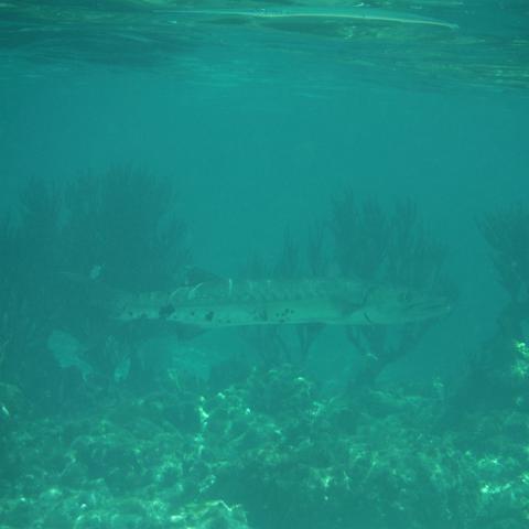 DSCF1695