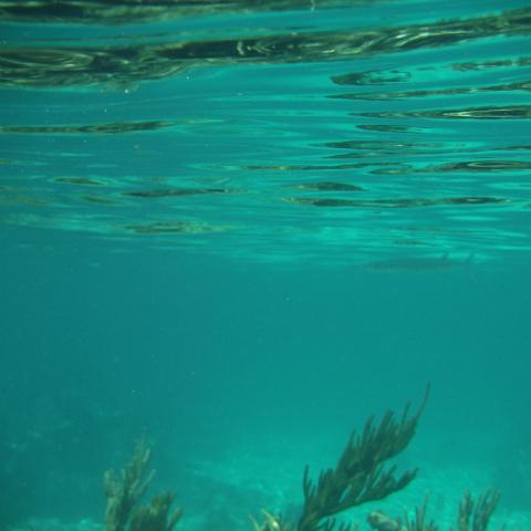 DSCF1724