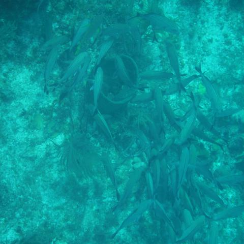 DSCF1762