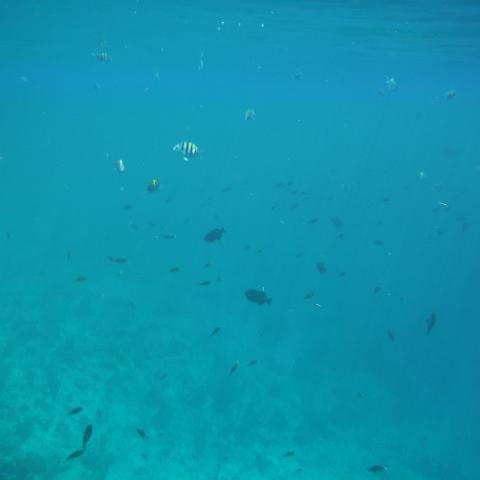 DSCF1770