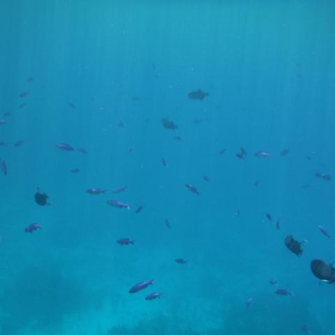 DSCF1776