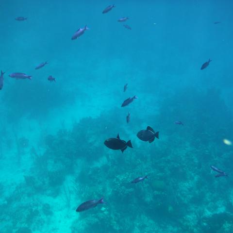 DSCF1778