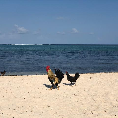 IMG 5795