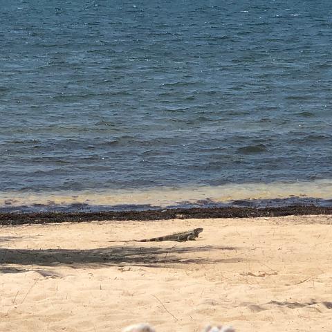 IMG 6666