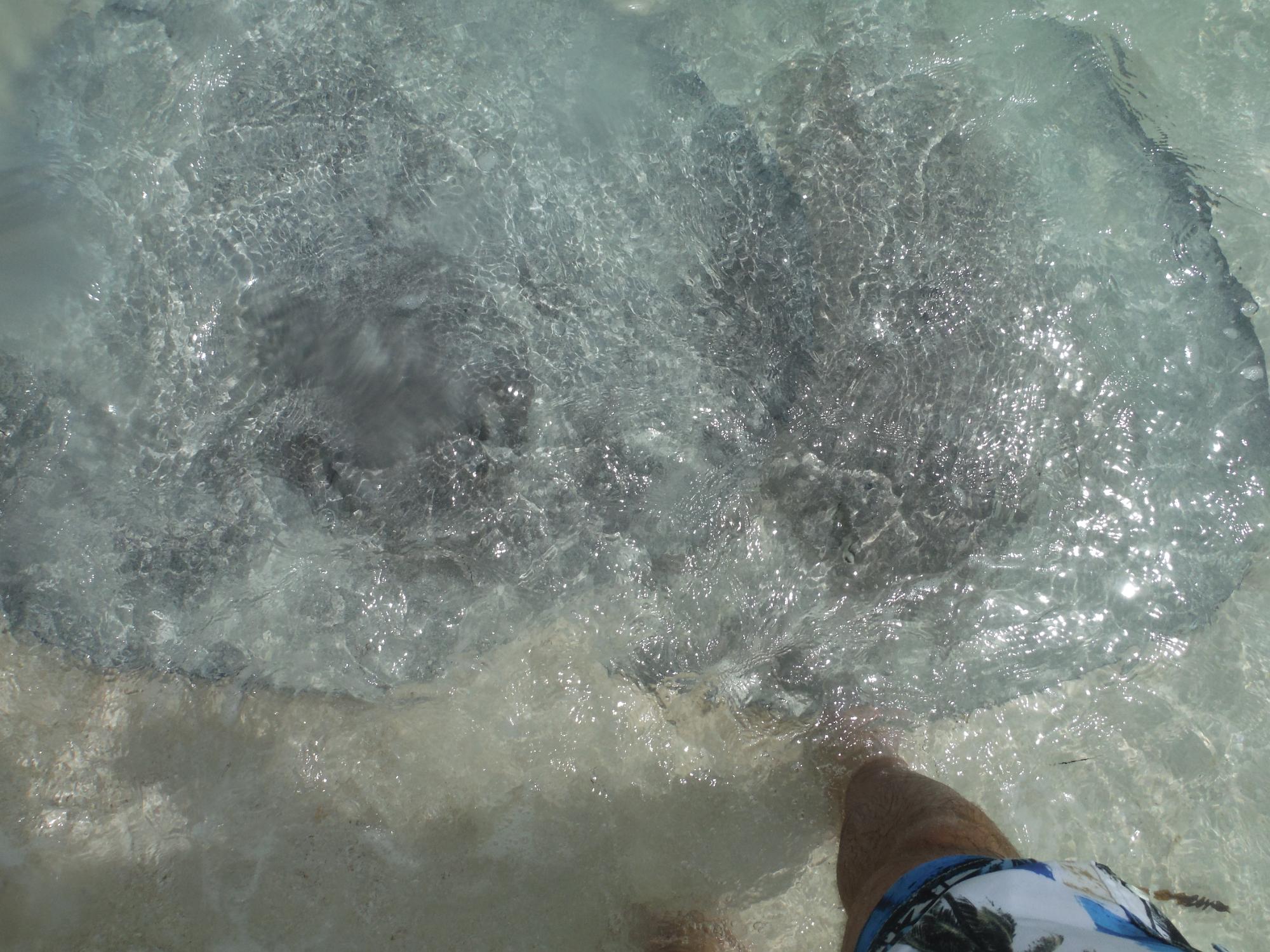 DSCF0165