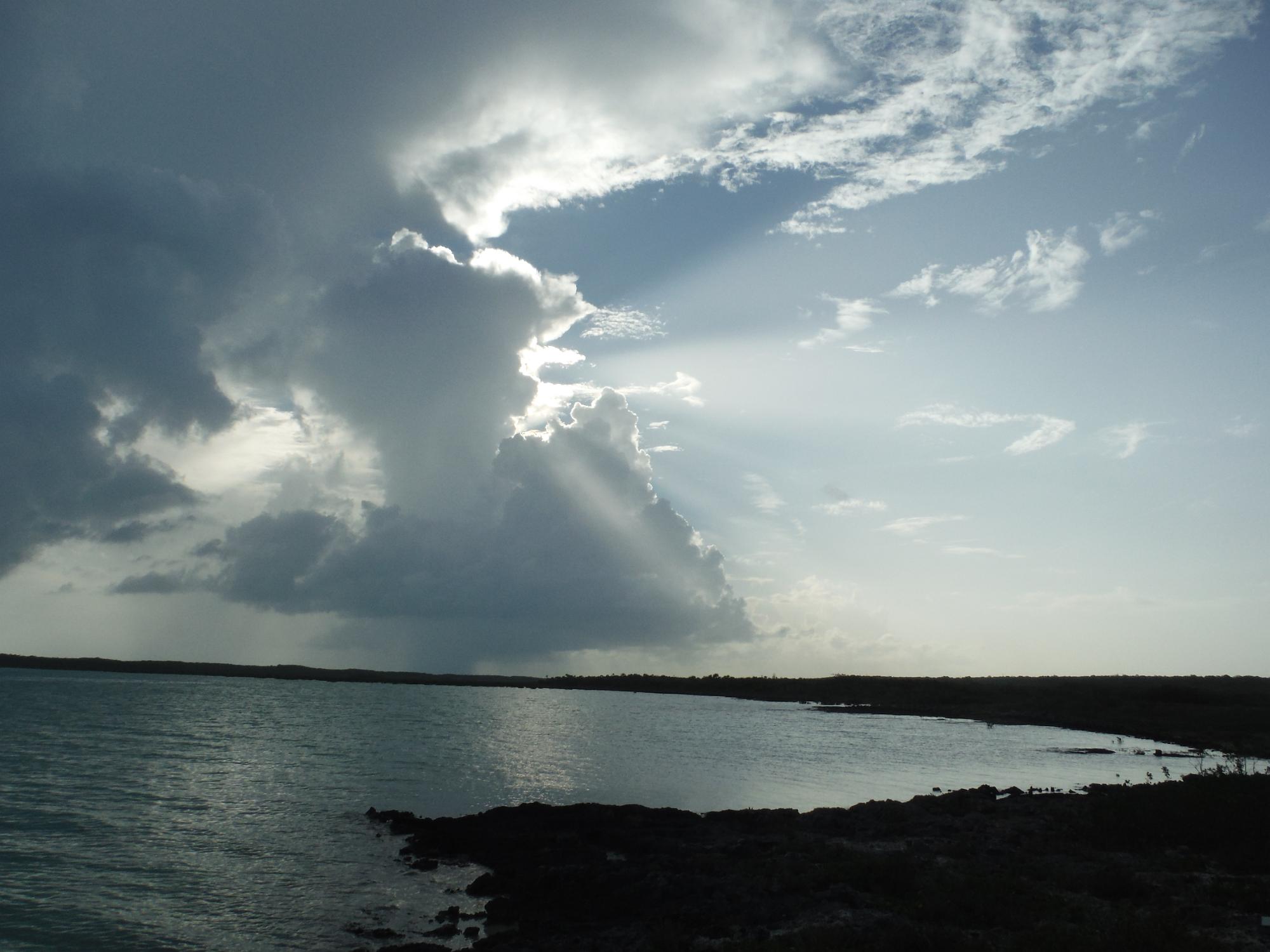 DSCF0324