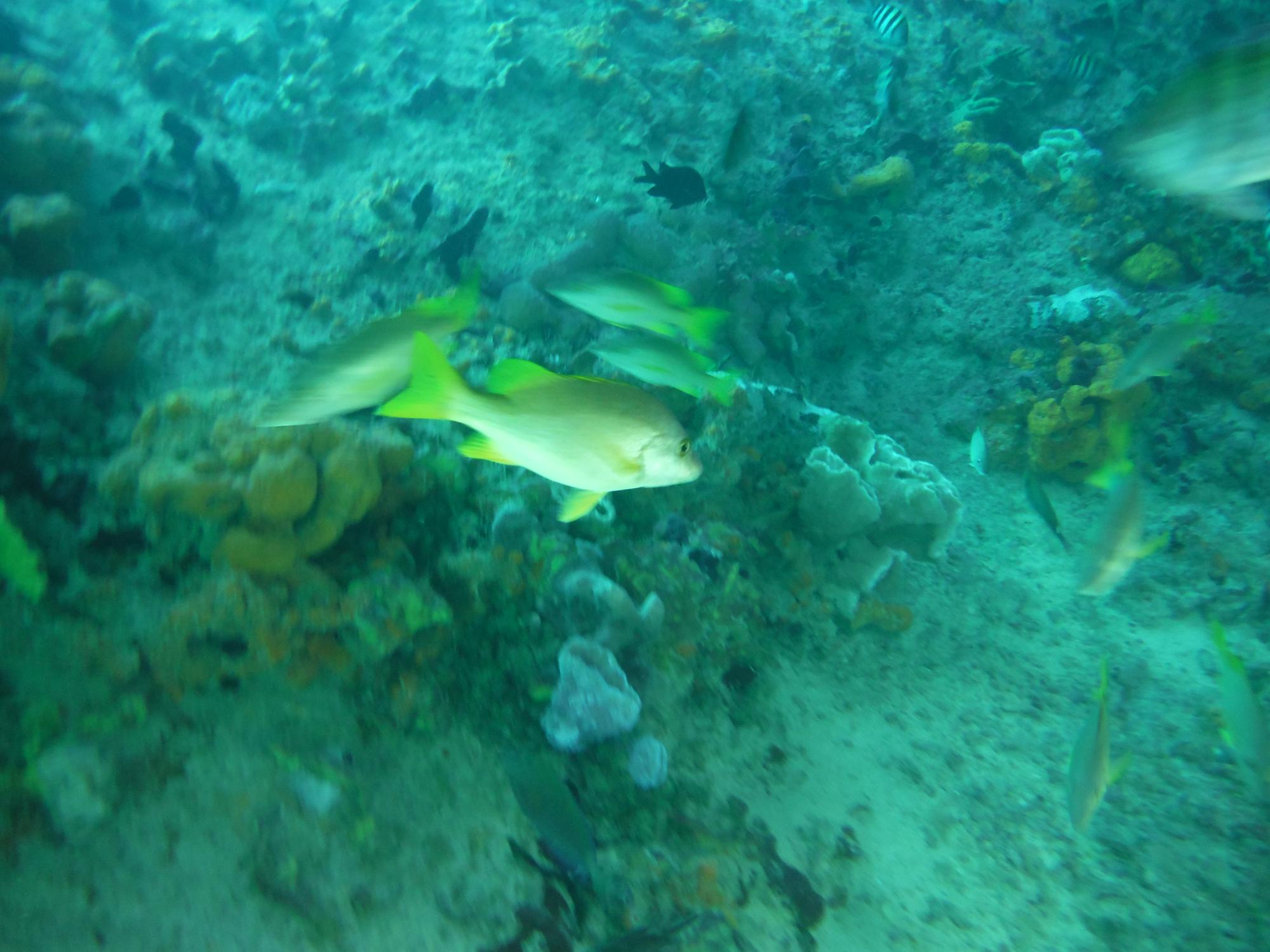 DSCF0500