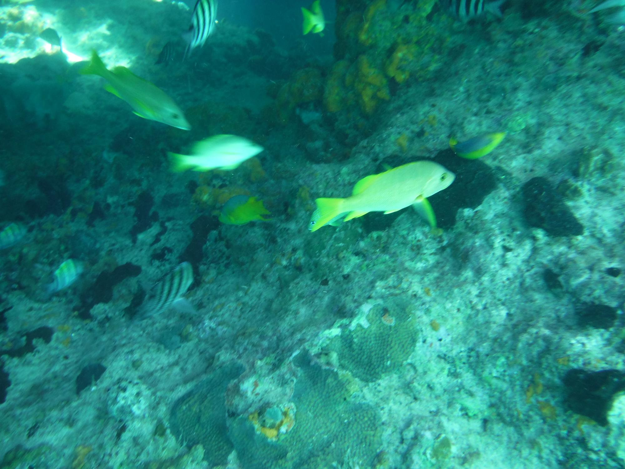 DSCF0507