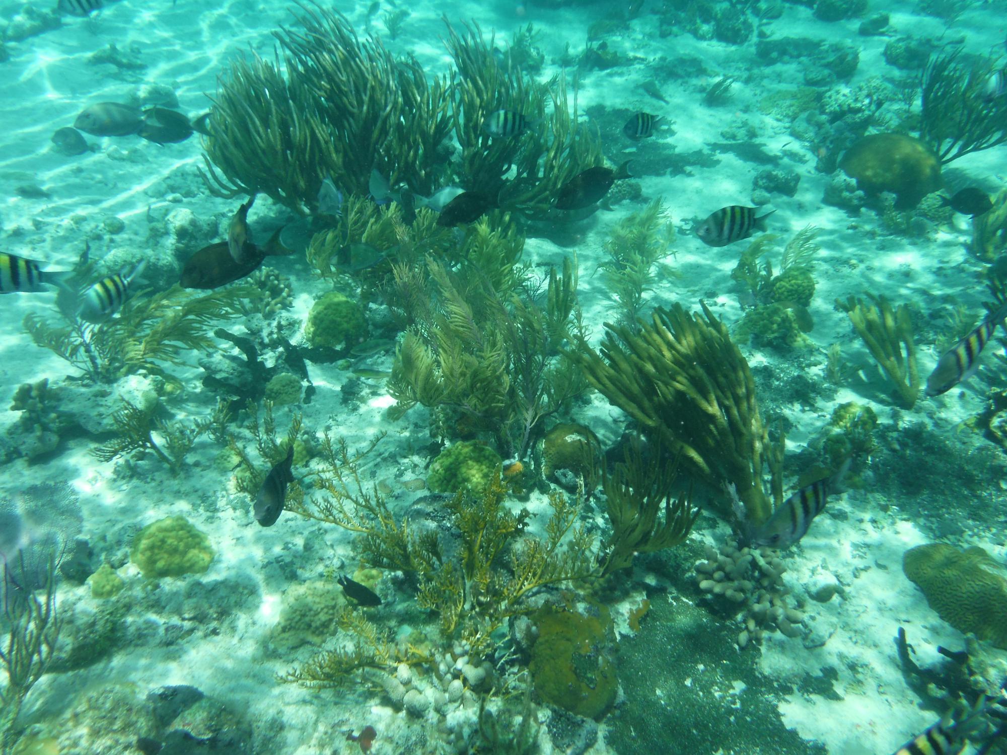 DSCF0533