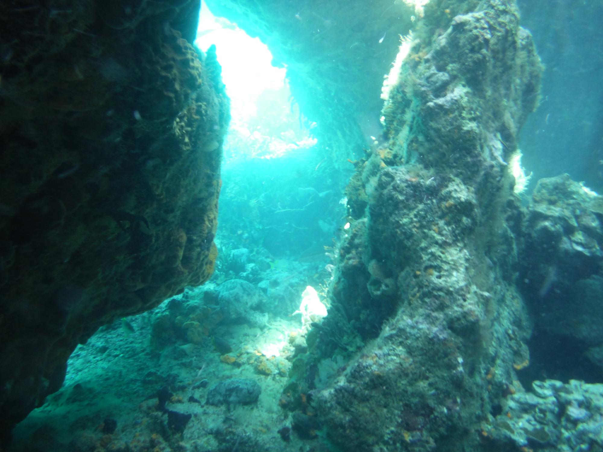 DSCF0549