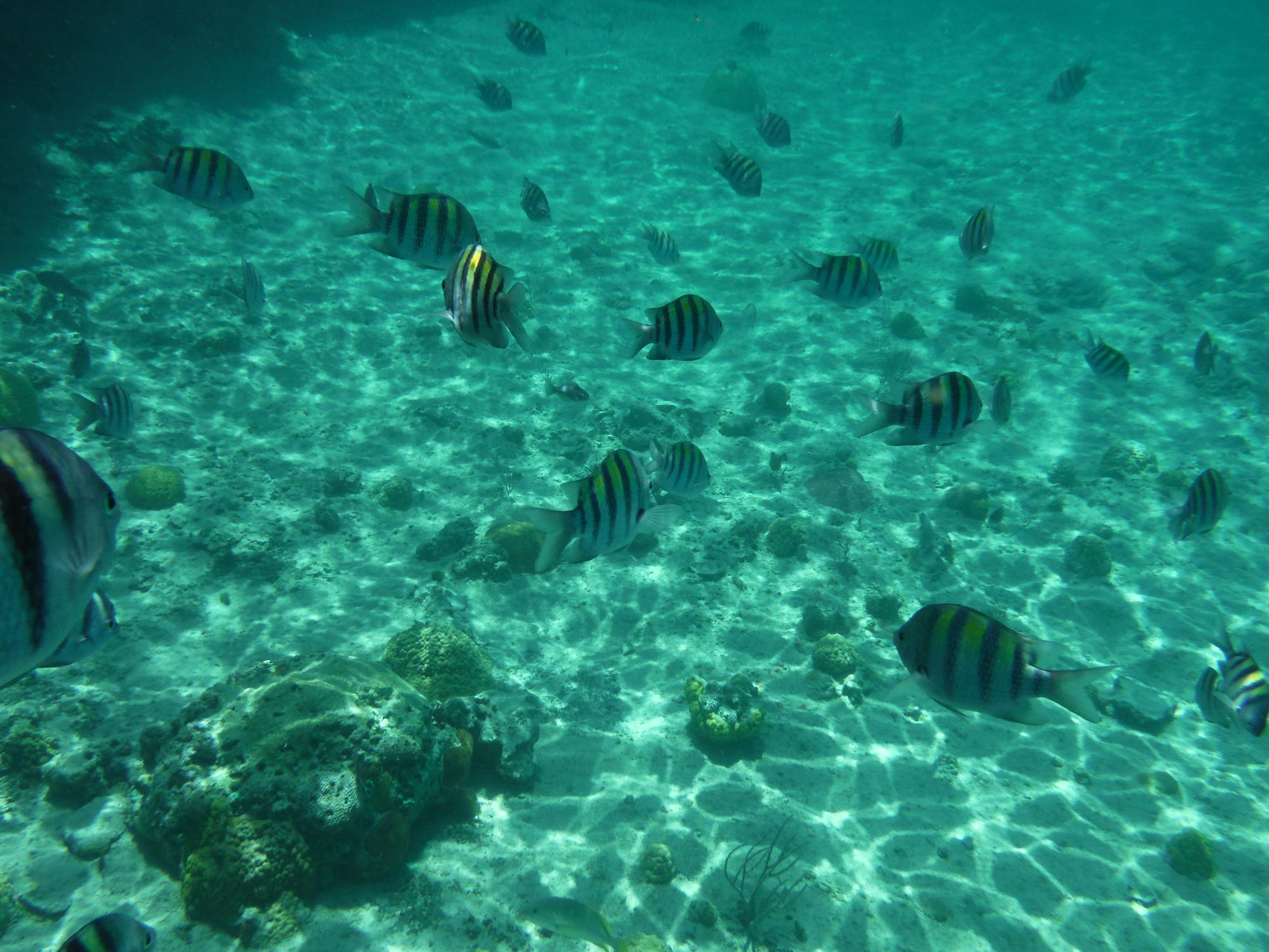 DSCF0578