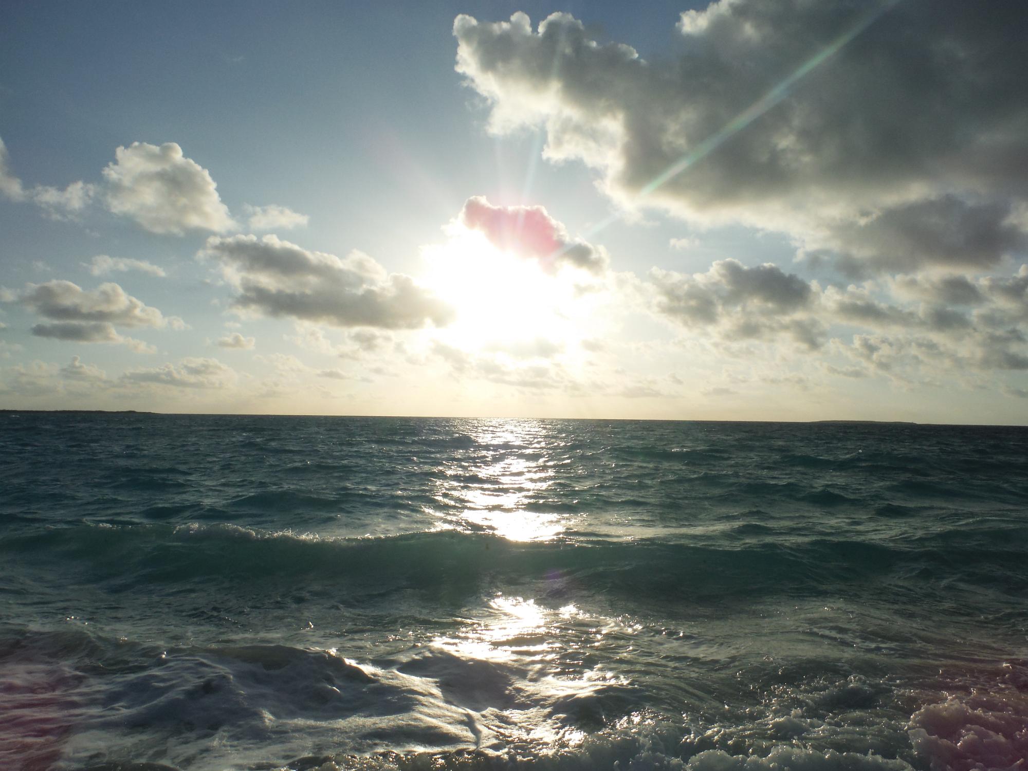 DSCF0892
