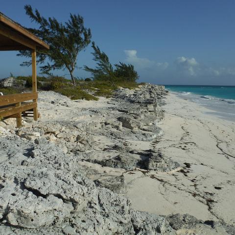 DSCF0091