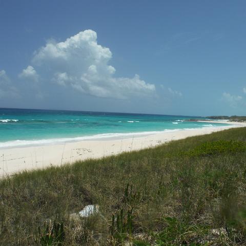 DSCF0122